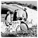 Al\'Berr - Танцуй как животное ()