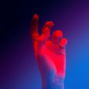 BirkinStar - Linger ()