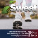 The Jagged Edges - Cooling Willow