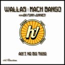 Wallas & Mack Bango & Da Funk Junkies - Ain\'t No Big Thing (Da Funk Junkies Radio Edit)