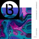 Cypherpunx & Luke Brancaccio - Tears + Lies