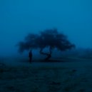 thereconnect - snowflake ()