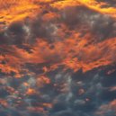 Black Lung - The Wizard ()