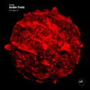 AnDe Trois - Hot Night