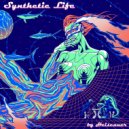 Heisenner - Synthwave Night ()