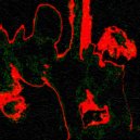 Bàrrizhútik - Fire ()