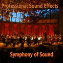 Professional Sound Effects Group & Seraphina Jane & Milano Philharmonic & The Music Man - Symphony of Sound 4105