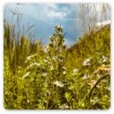 uinta - holy roller ()