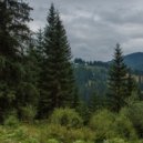 pszz - suffocated ()