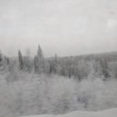 JXRICKS - Dream.wav ()