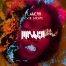 flanerr - Vivid Dreams