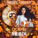 Andrey Tureckiy & svdmoon - Осень (svdmoon Remix)