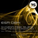 Gvozdini - Over The Moon