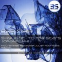 Skylight - To The Stars