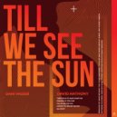 David Anthony & Dani Vasser - Till We See The Sun (Radio Instrumental)