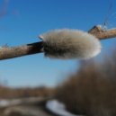 AyonovDenizs - 3 years love ()