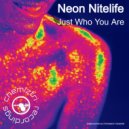 Neon Nitelife - Just Who You Are (Extended Instrumental)