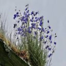 Andrei Ciubuc - Pian complementar