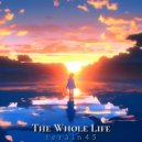 terain45 - The Whole Life ()