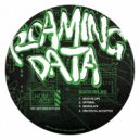 Roaming Data - Modulate (Original Mix)