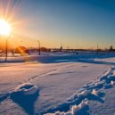 Andrew Zed - New year 2024 ()