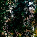 Sub Basics - Network