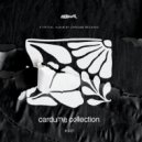 Seed Selector - Txutxuca