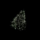 nikita frith - ЁЛКА ()