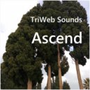 TriWeb Sounds - Angels ()