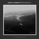 Joshua Moreno - Der Groove-Hersteller