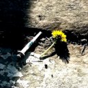 Черть - Прецедент ()