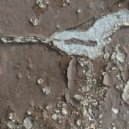 Mogo - X Generation ()