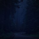 dyooxaone - snowfall in my heart ()