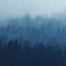 mysticalien - indifference ()