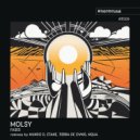 Molsy - Faces (Tierra de Ovnis Remix)