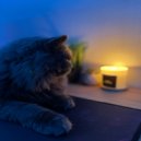 why! - One Second ()