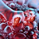 Dying in Beauty - Deep Dive