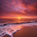 Pasha Fresh - Sweet Dream ()