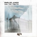 Analog Jungs - Halo