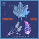 Philipp Wolf - Paco Paco