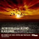 Jacob Seville feat. Hllywd - Black Birds