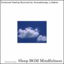 Sleep BGM Mindfulness - Tranquil Nights, Melodies of Mental Relief (Original Mix)