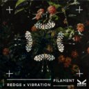 Redge, Vibration - Filament (Extended Mix)