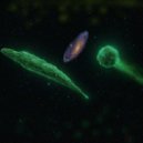 КИСЛОТНЫЙ КОСМОС - Открытие ()