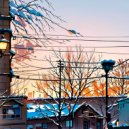 Aldrilin - Cold Summer ()