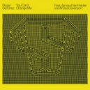 Roger Sanchez feat. Armand Van Helden & N'Dea Davenport - You Can't Change Me