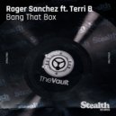 Roger Sanchez feat. Terri B. - Bang That Box (Lisatt & Voltaxx Dub)
