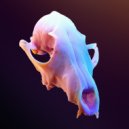 ASHE - Bon Echo (Original Mix)