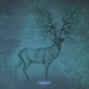 Simplex Sensus - Wunderkammer