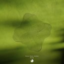 Franco Rossi & Centeno - Borda II (Original Mix)